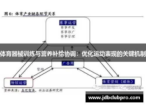 体育器械训练与营养补给协调：优化运动表现的关键机制
